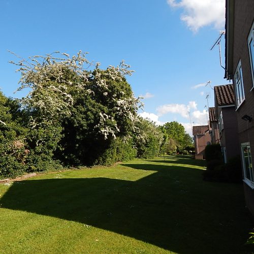 Dene Gardens, Stanmore HA7 4TD
